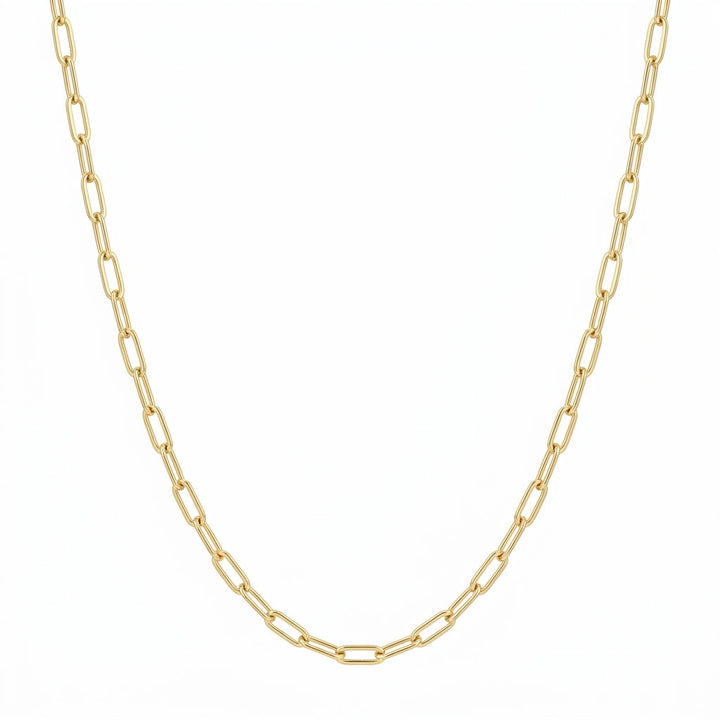 Monica Secrets Classics Paperclip Necklace