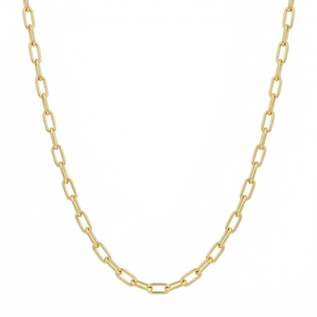 Monica Secrets Classics Paperclip Necklace