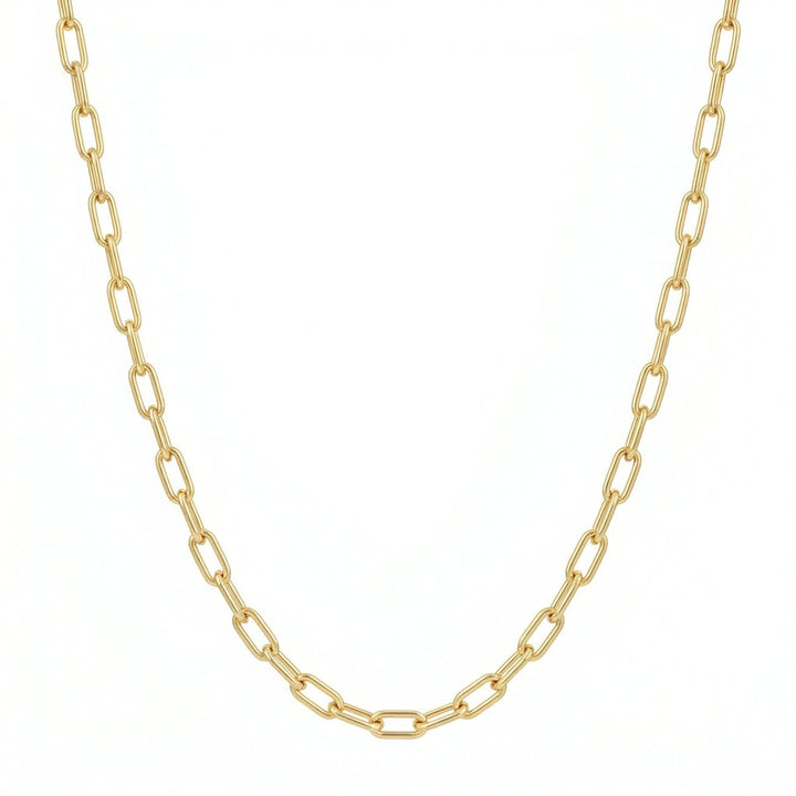 Monica Secrets Classics Paperclip Necklace
