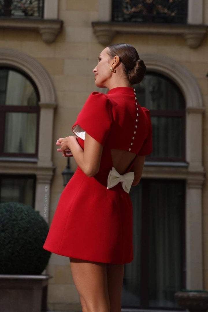 Clara | Puff Sleeve Mini Dress